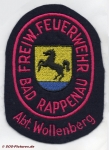 FF Bad Rappenau Abt. Wollenberg