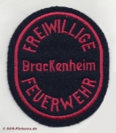FF Brackenheim alt