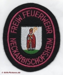 FF Neckarbischofsheim