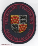FF Babenhausen