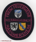 FF Hassmersheim Abt. Neckarmühlbach