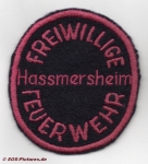 FF Hassmersheim alt
