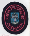 FF Östringen Abt. Odenheim