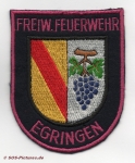 FF Efringen-Kirchen Abt. Egringen