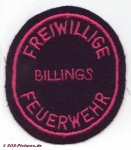FF Fischbachtal - Billings alt