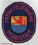 FF Pfungstadt