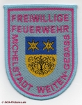FF Michelstadt - Weiten-Gesäss