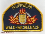 FF Wald-Michelbach