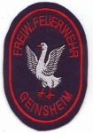 FF Trebur - Geinsheim