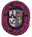 FF Ginsheim-Gustavsburg
