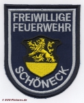 FF Schöneck/Vogtland