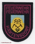 FF Wildenfels - Härtensdorf