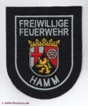 FF Hamm am Rhein